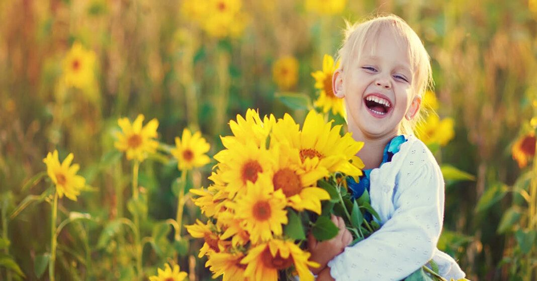 Sunflowers sold to Ashbourne Day Nurseries