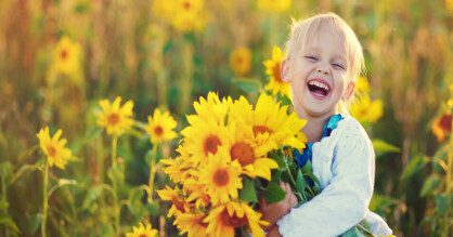 Sunflowers sold to Ashbourne Day Nurseries